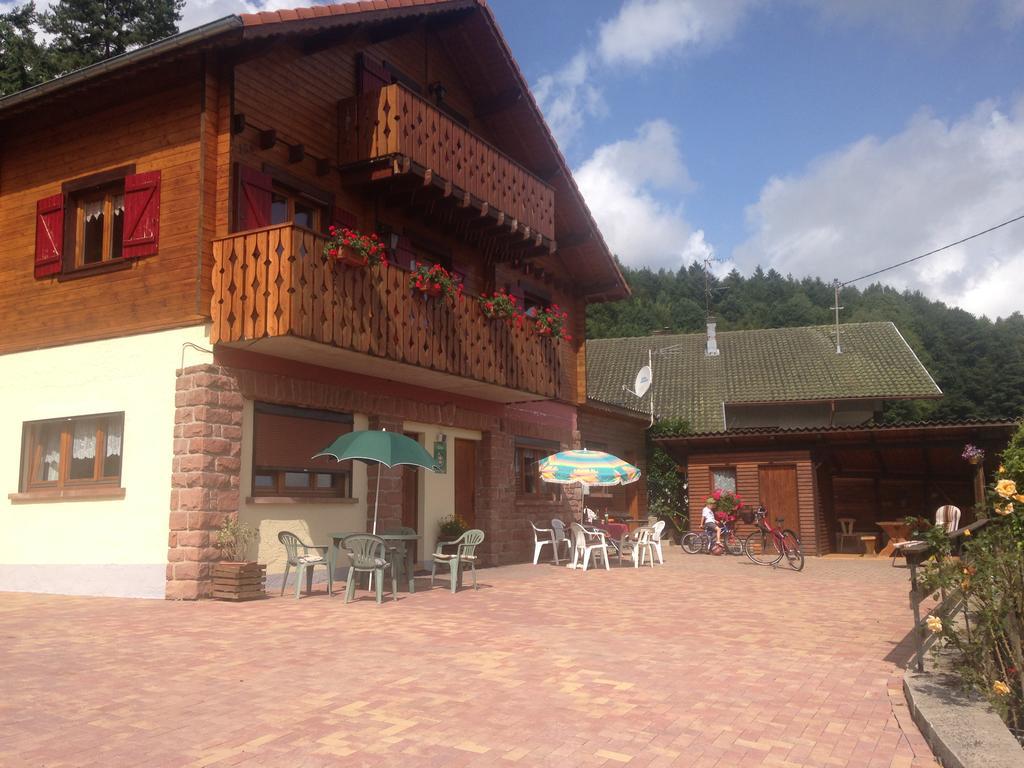 Gites Les Pins Et Les Bruyeres Wangenbourg-Engenthal Exterior foto